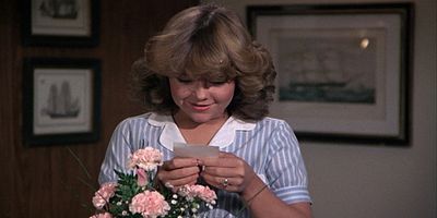 poster de la série Pride of the Pacific/The Viking's Son/Separate Vacations/The Experiment/Getting to Know You: Part 2