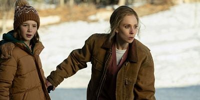 poster de la série Le tigre