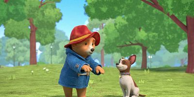 poster de la série Paddington et les météorites