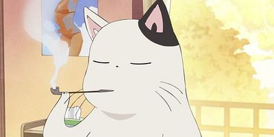 poster de la série Le Kotatsu qui venait du froid