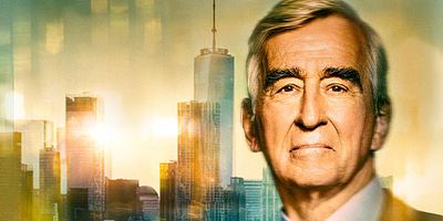 poster de la série Le témoin inattendu