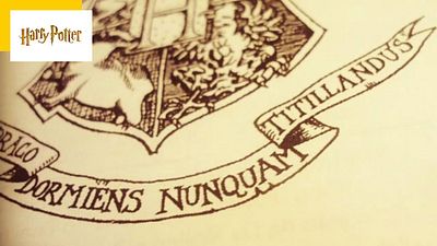 image de la news Harry Potter : savez-vous quelle est la devise de Poudlard ?