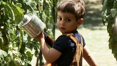 image de la news "C'est l’un des films les mieux dirigés de tous les temps" : pour le créateur de Yellowstone, ce film est un classique intemporel