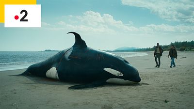 image de la news Abysses sur France 2 : dans quels pays la série a-t-elle été tournée ?