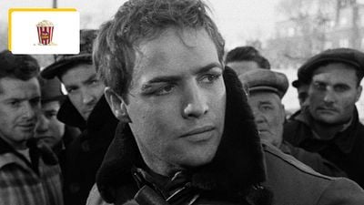 image de la news "Sortez-moi d'ici !" : Marlon Brando en colère voulait quitter l'avant-première de ce film devenu culte