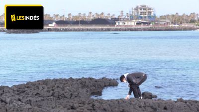 image de la news "Un petit joyau de poésie" : noté 3,6 sur 5, c'est le film à voir absolument cette semaine !