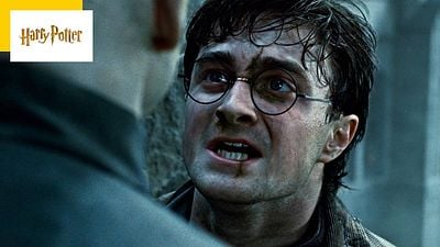 image de la news Harry Potter en série télé : êtes-vous pour ou contre ?