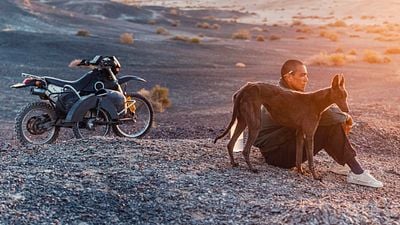 image de la news Black Dog élu le meilleur film de la semaine : comment s'est déroulé le tournage avec les chiens ?