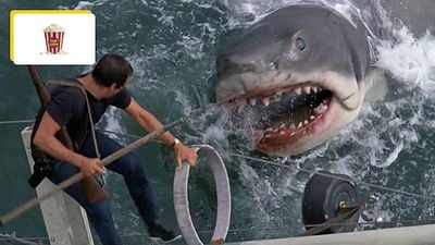 image de la news Les Dents de la mer : le mythique requin du film a passé 20 ans de sa vie dans une décharge !