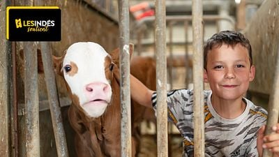 image de la news Noté 4,1 sur 5, ce film "beau, touchant et profondément humain" est à voir au cinéma