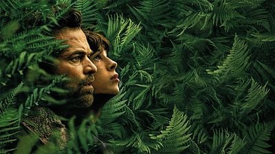 image de la news King Kong, Robocop, Le Règne animal : quel est le point commun de ces longs-métrages culte ?