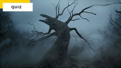 Quiz cinéma : dans quels films voit-on ces arbres ?