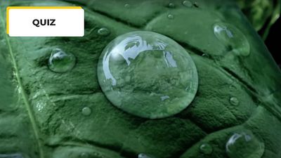 image de la news Quiz Cinéma : 10 images, 10 films de Spielberg à reconnaître !