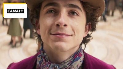 Ce soir sur CANAL+ : Timothée Chalamet impressionne dans son rôle le plus lumineux avec ce film parfait pour toute la famille