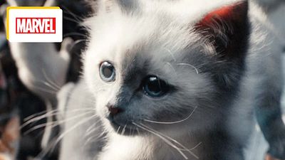 image de la news Marvel : avec une note de 2,1 sur 5, c'est le pire film du MCU selon les spectateurs !