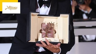 Cannes 2023: 19 film in competizione per la Palma d'Oro