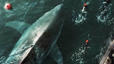 image de la news 177 millions d’heures visionnées : Netflix s’offre un grand nom du cinéma fantastique pour la suite du film français le plus vu de tous les temps sur la plateforme