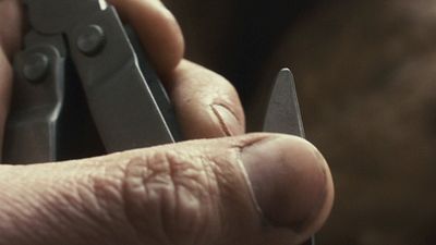 image de la news Des spectateurs se sont évanouis au cinéma ! Pourtant, cette inspirante histoire vraie mérite que vous releviez le défi