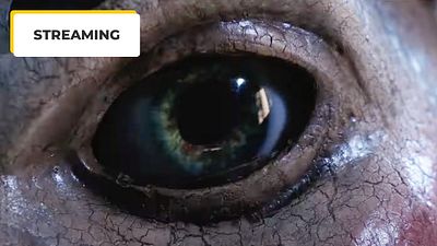 image de la news Cette série au succès surprise aura une saison 2 avec une star de Friends