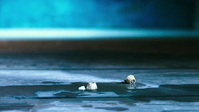 image de la news Il y a 8 ans, la fin de ce film d'aventure annonçait une suite spectaculaire, mais les fans attendent toujours !