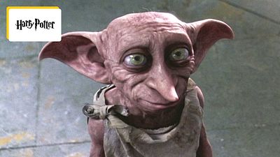 image de la news Harry Potter : cette créature fantastique a mis en colère l'un des hommes les plus puissants au monde