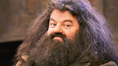 image de la news On sait qui va jouer Hagrid dans la série Harry Potter, et le choix de cet acteur devrait faire plaisir à tout le monde !