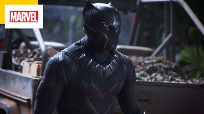 image de la news Black Panther : le héros Marvel bientôt de retour, mais sous une nouvelle forme !