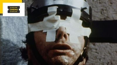 image de la news Interdit dans près de 50 pays, ce film choquant va avoir un remake avec des stars de Stranger Things et Euphoria