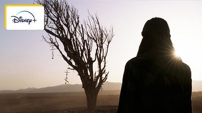 image de la news Marvel : 3 ans après sa sortie, ce très beau film banni dans plusieurs pays est enfin disponible en streaming