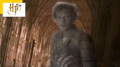 image de la news Harry Potter : quel personnage mythique a été coupé du premier film ?