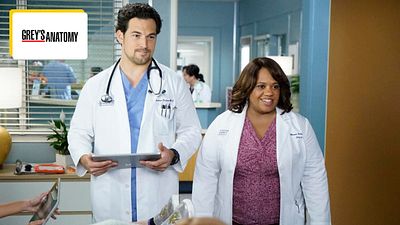 image de la news Grey's Anatomy : un ancien docteur de la série rejoint Chicago Med