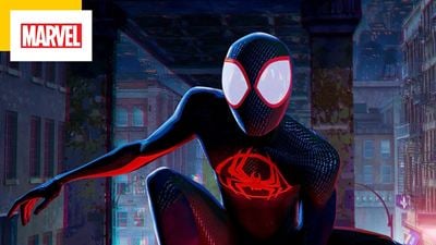 Across the Spider-Verse : la suite sortira-t-elle plus tard que prévu ?