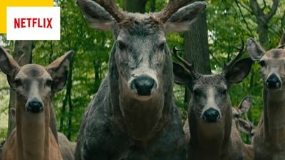 Le Monde après nous sur Netflix : vous trouvez la scène avec les animaux dans la forêt étrange ? Le réalisateur nous explique tout