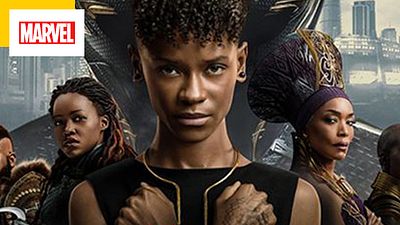 image de la news Black Panther 2 : pourquoi a-t-il fallu 25 ans à ce personnage incontournable pour rejoindre l'univers Marvel ?