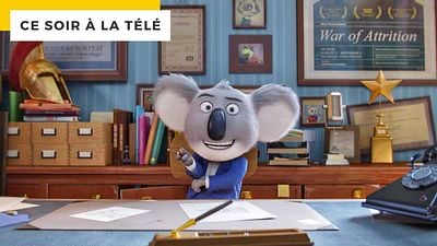 image de la news Ce soir à la télé : la preuve qu’un koala peut devenir une star de la comédie musicale