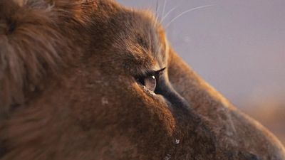 image de la news 720 millions de dollars : ce film Disney a cartonné en 2024 et il est enfin disponible en streaming