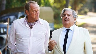 image de la news Ce soir à la télé : totalement passée inaperçue, c'est pourtant une comédie à très gros casting avec un irrésistible Christian Clavier !