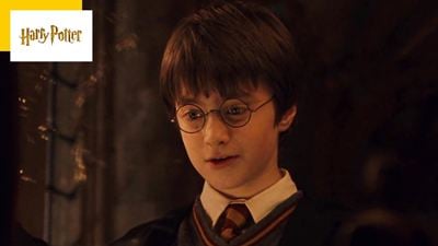 Harry Potter 1 : faites un arrêt sur image à 1 heure et 36 secondes et regardez derrière cette vitrine !