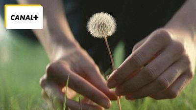 image de la news Ce soir sur Canal+ : 371 millions de dollars au box-office... Ce film catastrophe est une véritable expérience