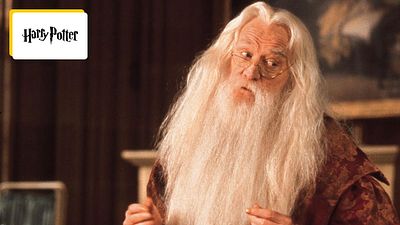 image de la news « Je ne comprends pas » : pourquoi cet acteur refuse de jouer dans la série Harry Potter ?