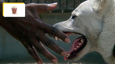 image de la news “Il est difficile d’exprimer la douleur que l’on ressent à voir son film échouer dans un coffre” : ce chef-d’oeuvre invisible durant 25 ans aux Etats-Unis a été sabordé par son studio