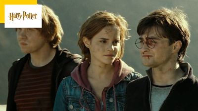 "Une honte", "un chef d'œuvre" : que pensaient les spectateurs du tout dernier Harry Potter en 2011 ?