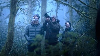 image de la news Noté 4,5 sur 5 : Le Chant des forêts est l'un des meilleurs films de l'année 2025 ! Voici les avis très positifs des premiers spectateurs !