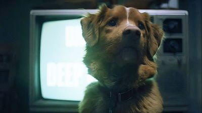 image de la news Good Boy : le chien survit-il ? comment s'est déroulé le tournage ? On répond à toutes vos questions !