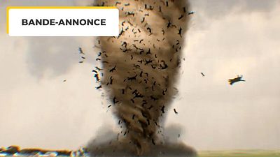 image de la news Bande-annonce Catnado : plus fort que Twisters, après la tornade de requins voici la tempête de chats !