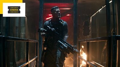 image de la news Deadpool 3 accueillera cet animal au record étrange