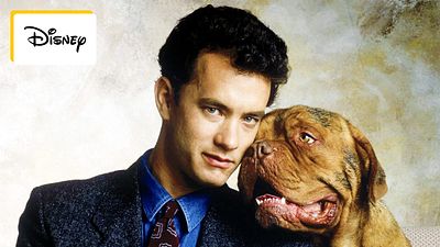 image de la news Ce soir en famille : Tom Hanks qui résout une enquête avec un chien ? Ca existe, et c'est très sympa !