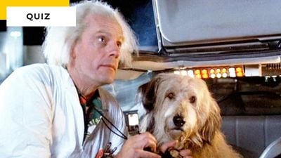 image de la news Quiz Cinéma : 8 chiens, 8 films des années 80 à reconnaître ! En serez-vous capable ?