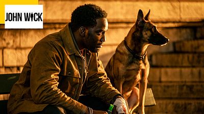 image de la news John Wick 4 : qui est Shamier Anderson, le redoutable Traqueur lancé aux trousses de Keanu Reeves ?