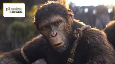La Planète des singes 2024 : à qui le film Le Nouveau Royaume rend hommage ?